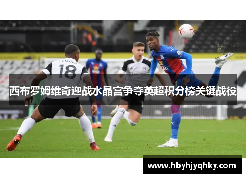 西布罗姆维奇迎战水晶宫争夺英超积分榜关键战役