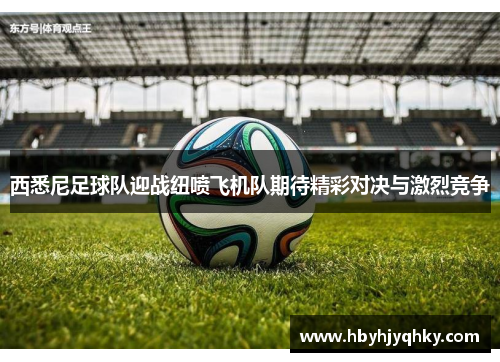 西悉尼足球队迎战纽喷飞机队期待精彩对决与激烈竞争